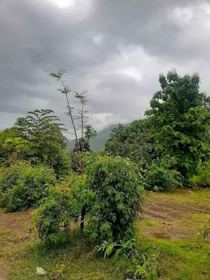 Madhura Farms คาร์จัต ภายนอก รูปภาพ